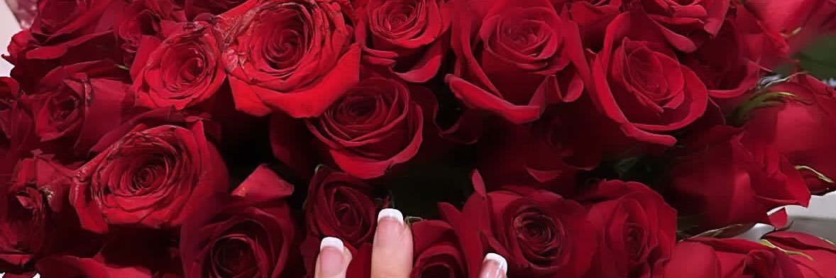 _ohsoyoushandi's profile banner image