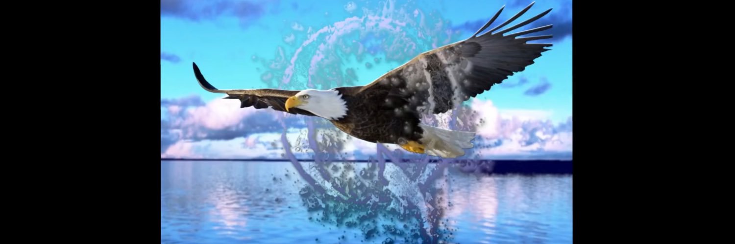 drgreglane's profile banner image