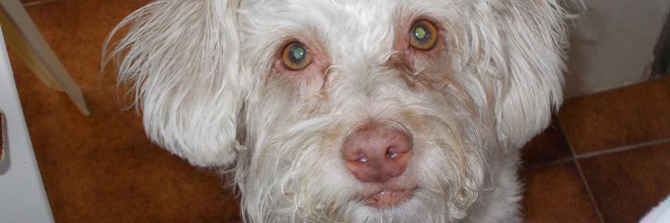 Sandra_a22's profile banner image