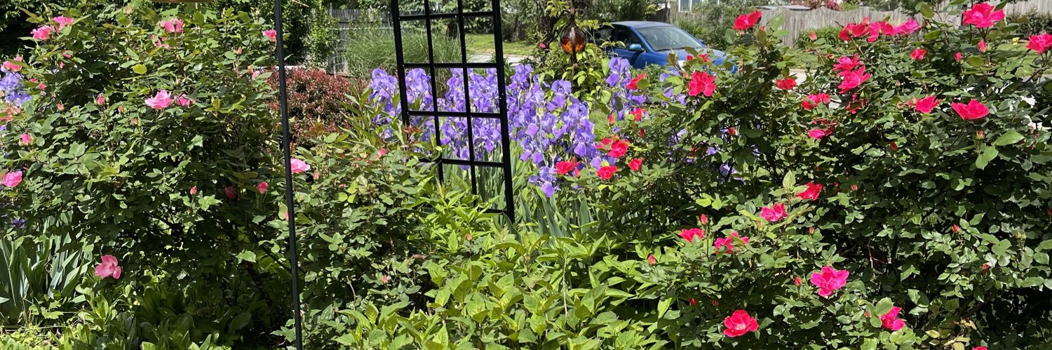 Beverly Powers Tindall banner