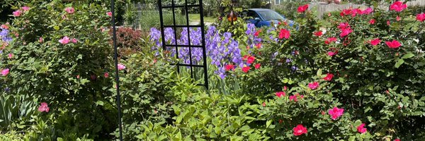 BevTindall Profile Banner