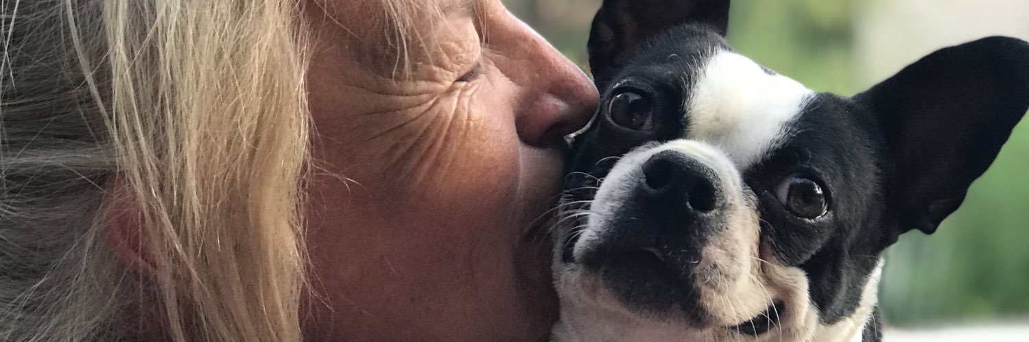 AgusOliveda's profile banner image
