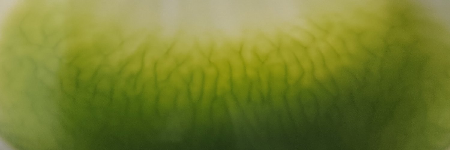 hasernas's profile banner image
