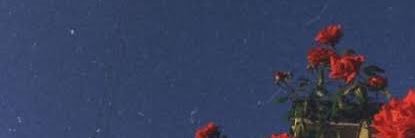 ZJimena's profile banner image