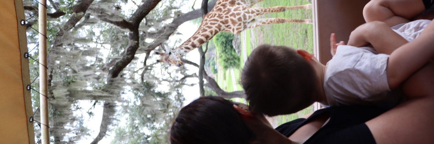 melissavargas__'s profile banner image