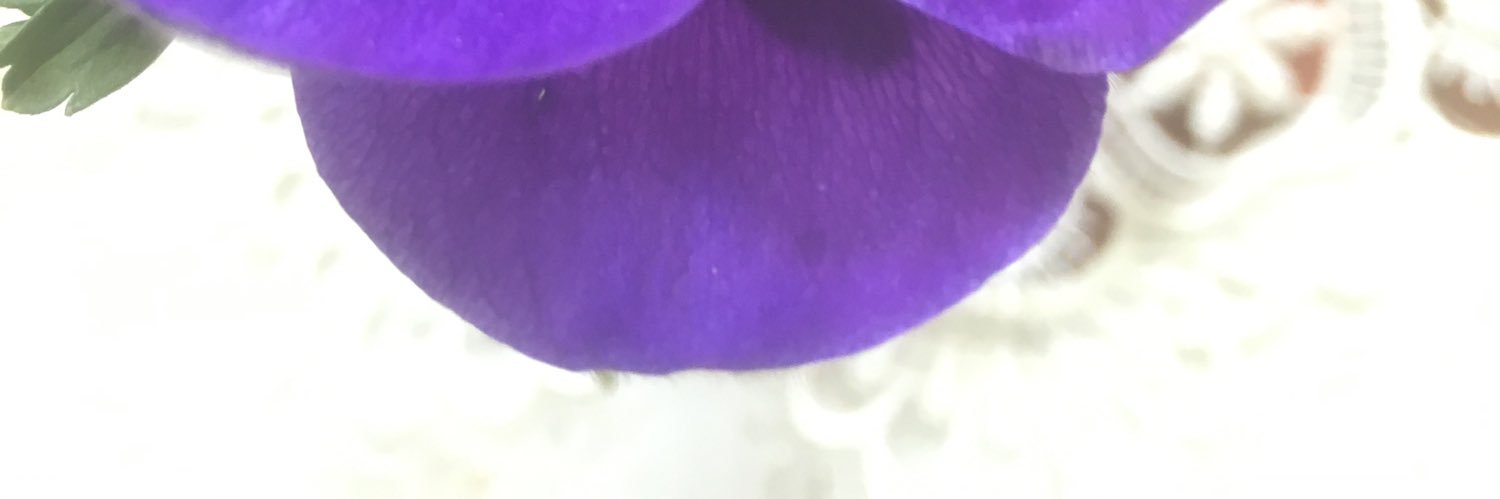 EllyDragstra's profile banner image