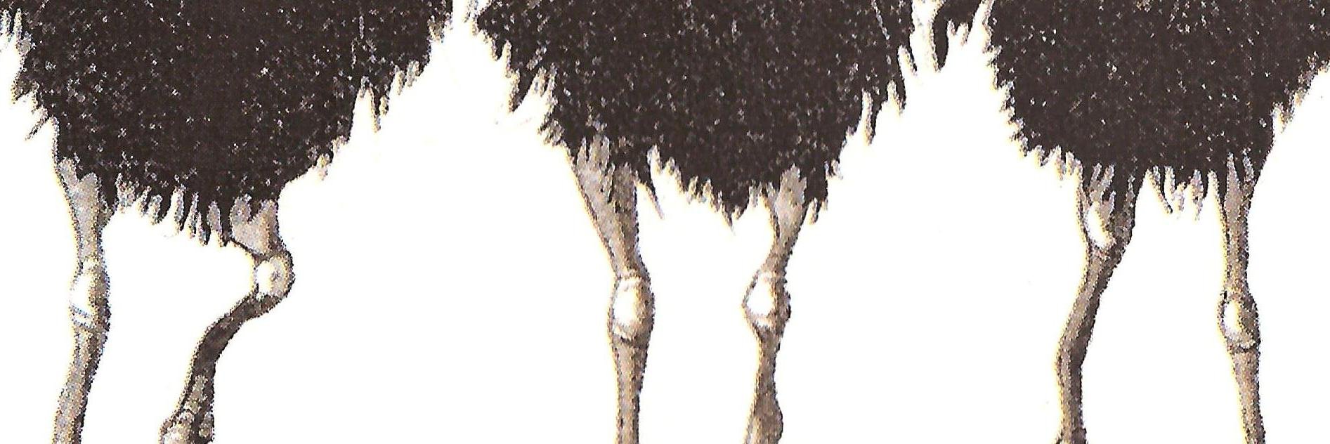 graspthenettle1's profile banner image