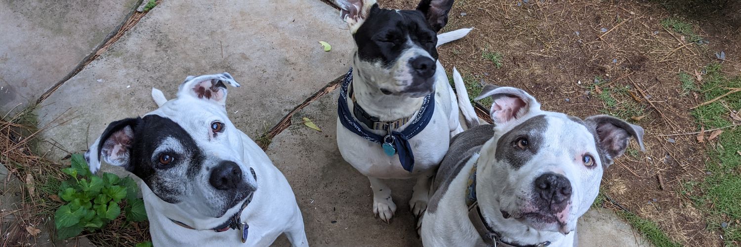 Lauren Neefe, PhD banner