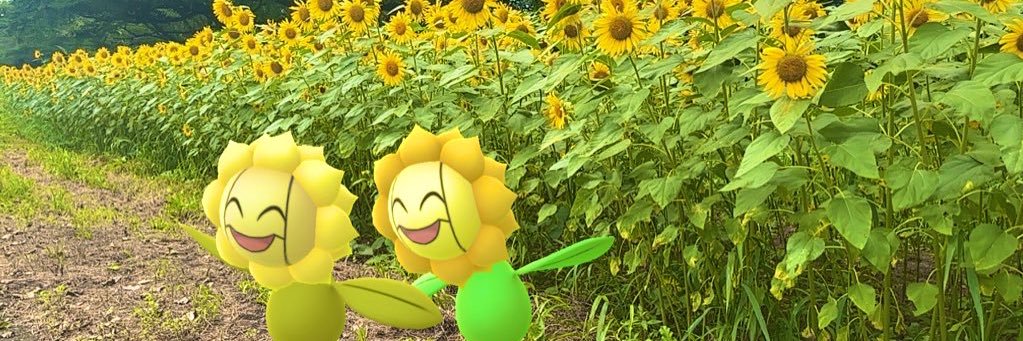 sima2sheep's profile banner image
