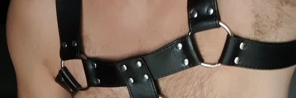 whitecastleboy2's profile banner image