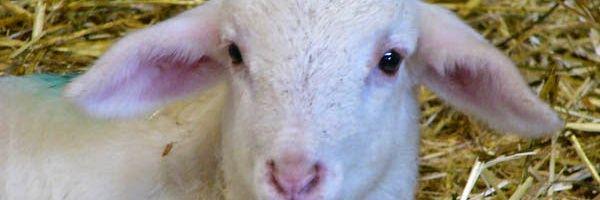 jgalapero's profile banner image