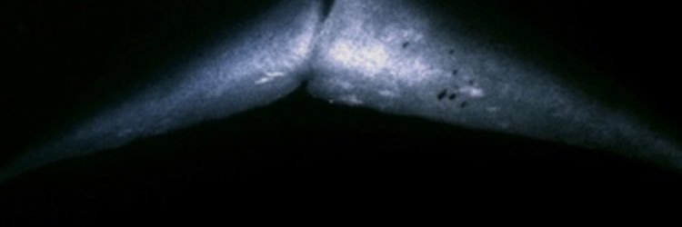 puffpuffpasa's profile banner image