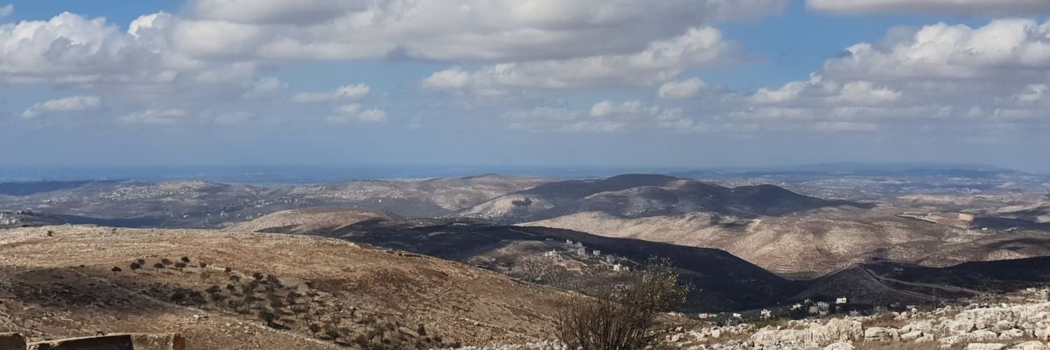 צבי סוכות's banner