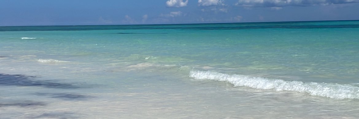 francesaldene's profile banner image