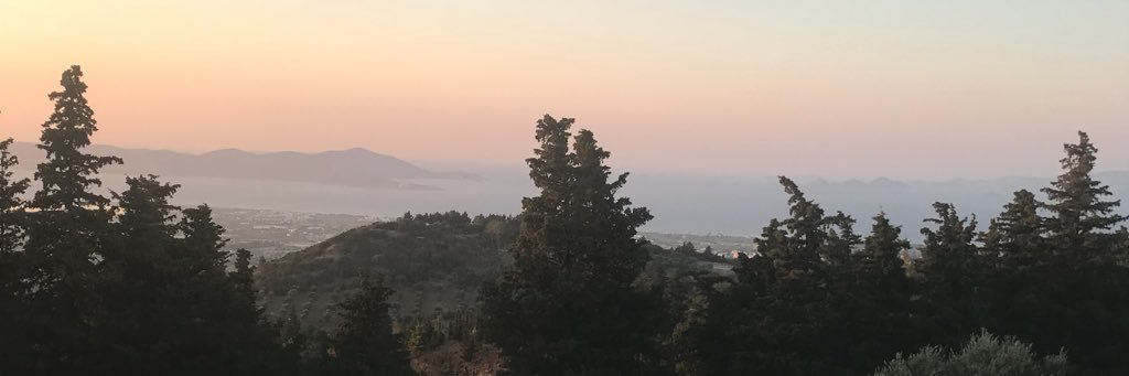 stephiesim's profile banner image