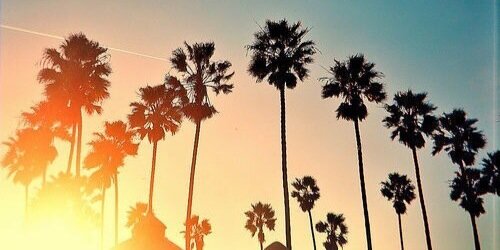 Kyra Borst banner