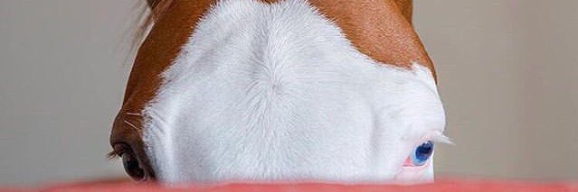 Joe925HS's profile banner image