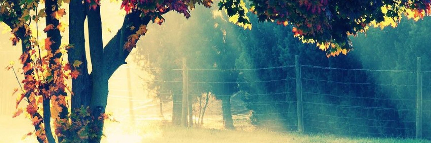 rafiussss's profile banner image