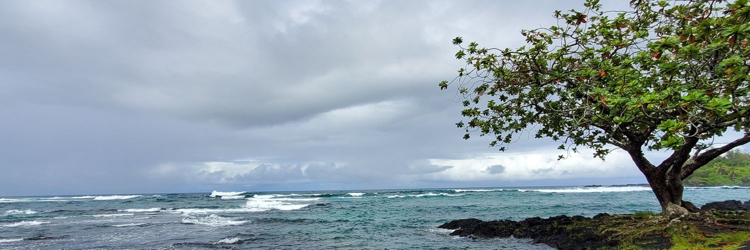 suthurngrl's profile banner image