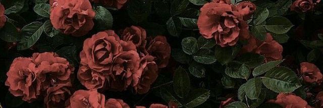 ObviouslyBitch's profile banner image