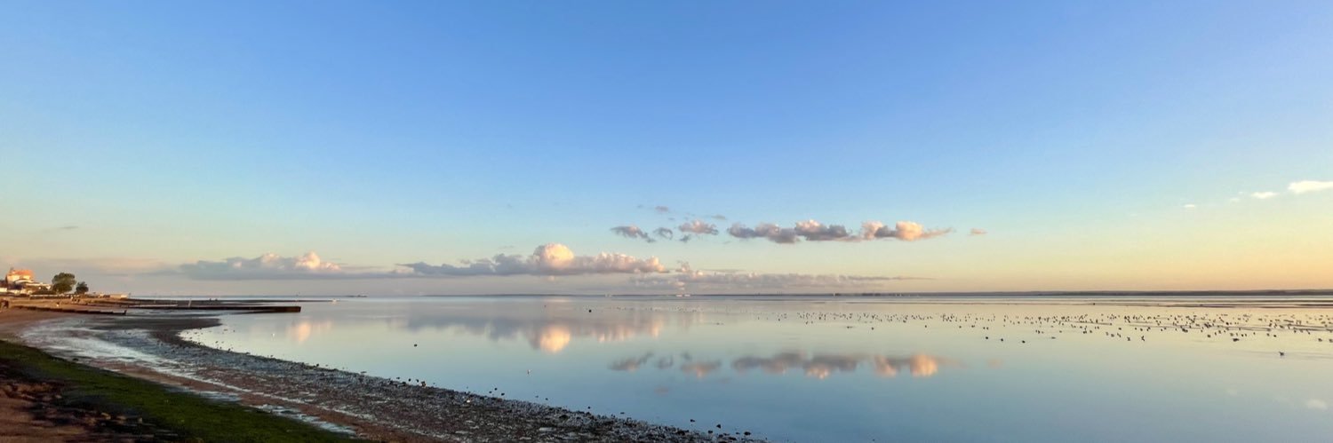 Ceri Burniston banner