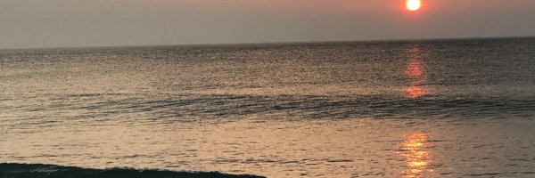 Zachart17 Profile Banner