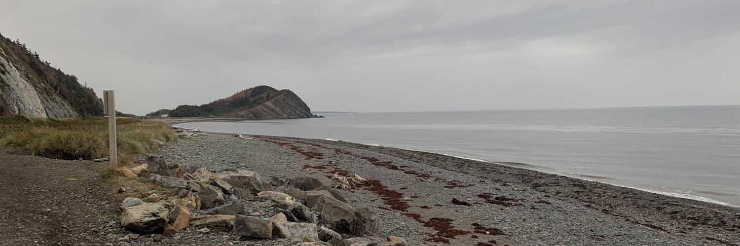 Anastasia Zhuravleva banner