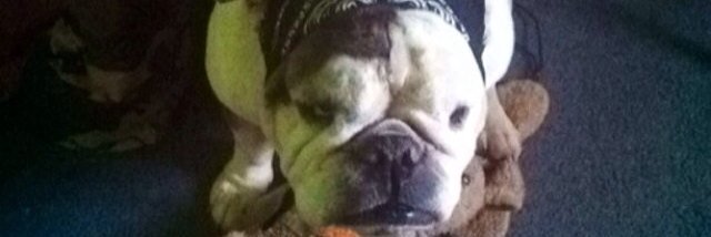MiriahBrumley07's profile banner image
