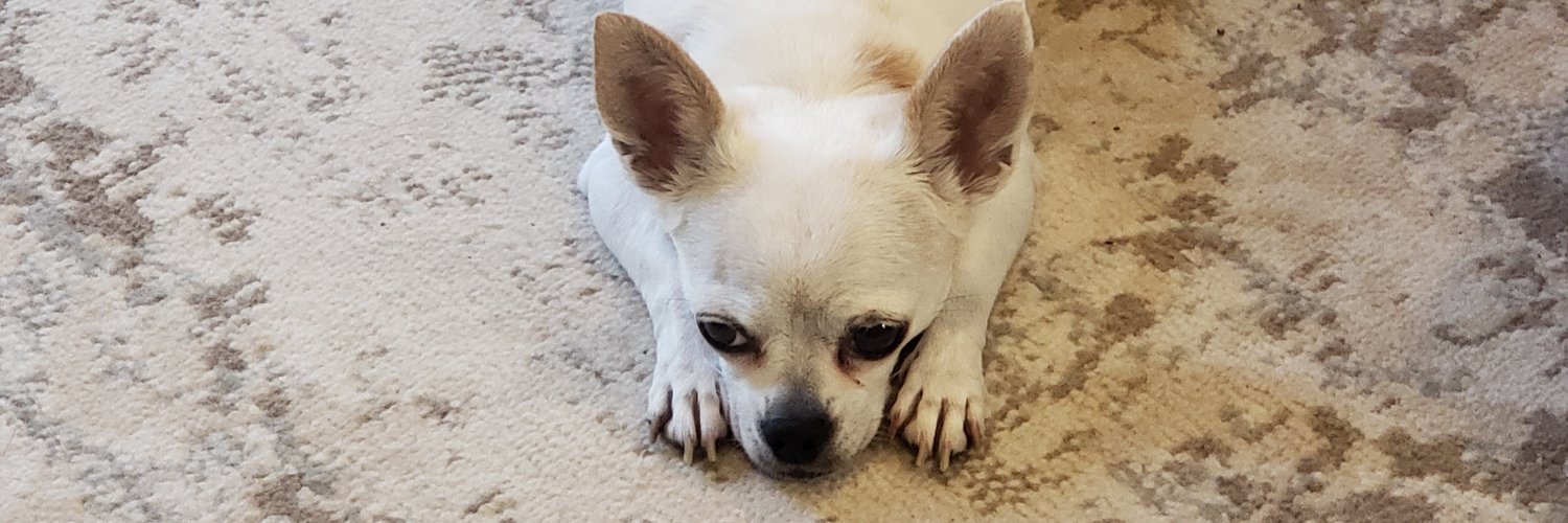 Minsosoup's profile banner image