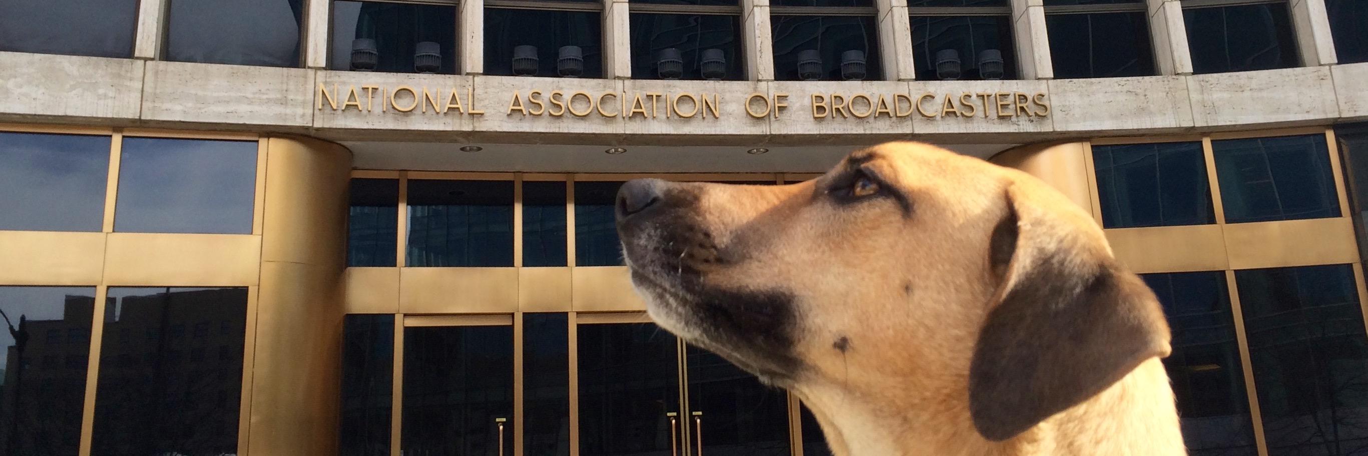 Robert Weller banner