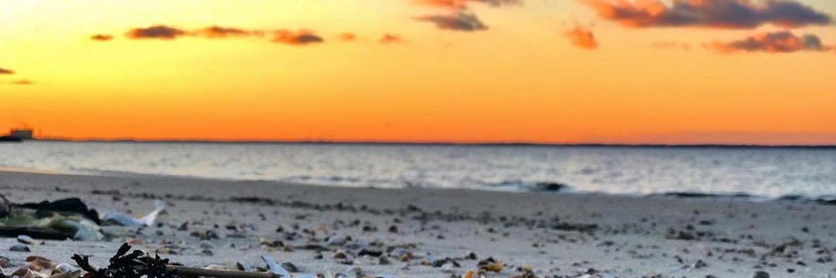 Lisa_LLB217's profile banner image