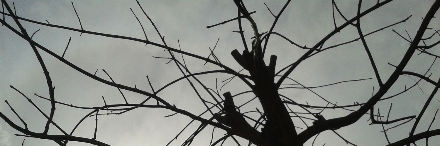 neete's profile banner image