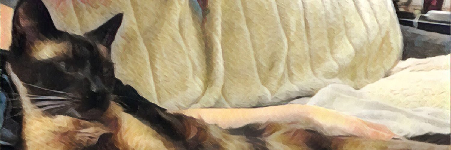 Nimitz_Cat's profile banner image