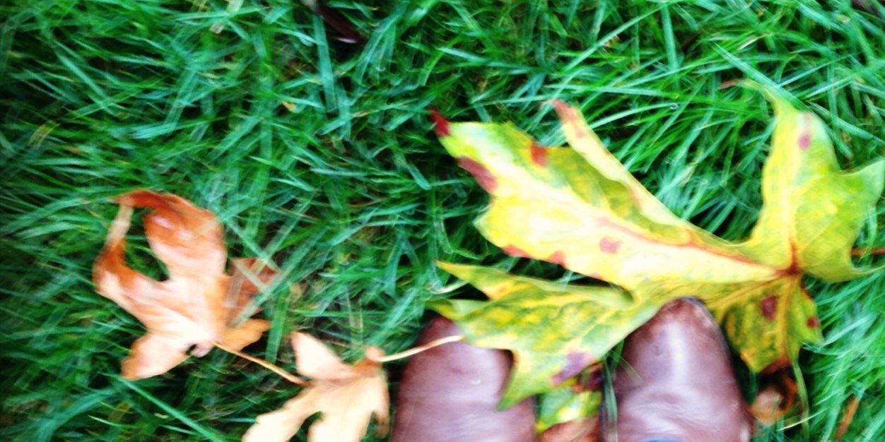 Aneeters's profile banner image