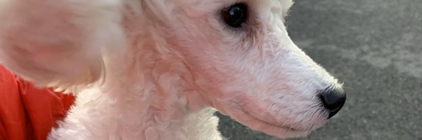 iPLUSONE2005 Profile Banner