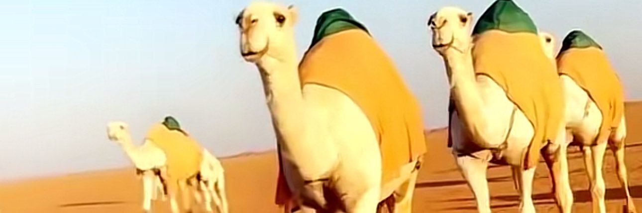 aljthor's profile banner image