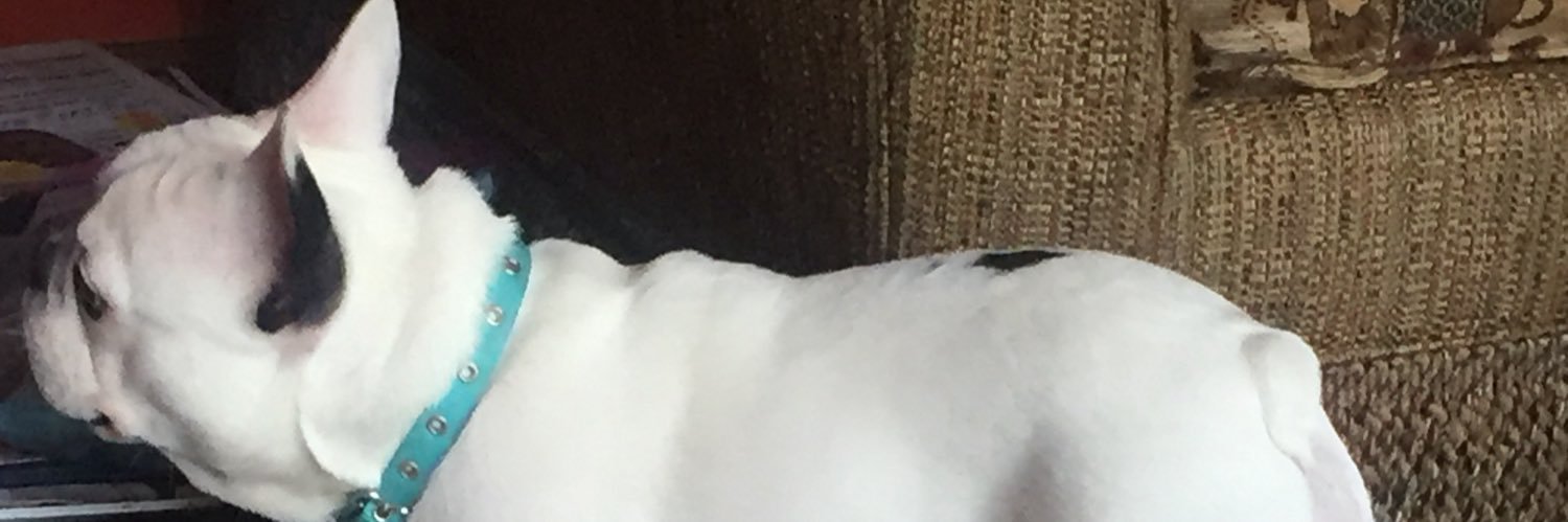 luckymagster's profile banner image