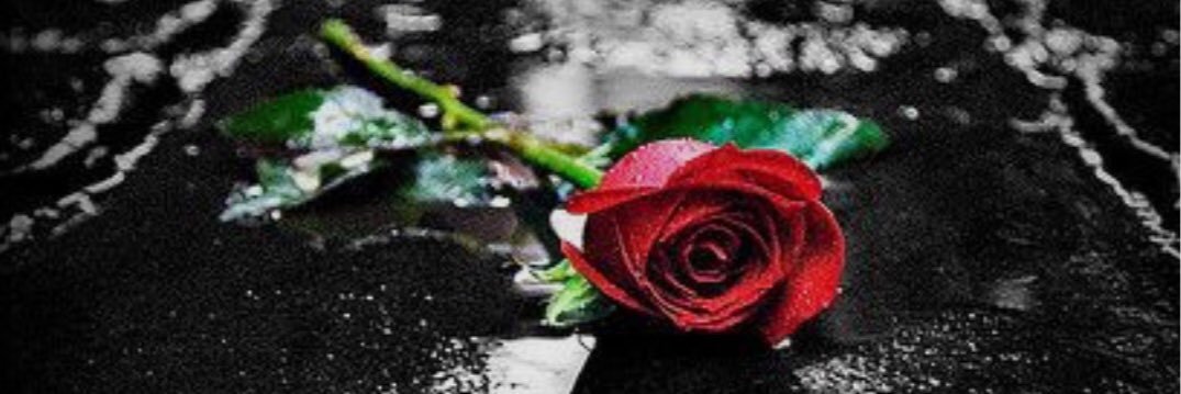 mirandaarchacki's profile banner image