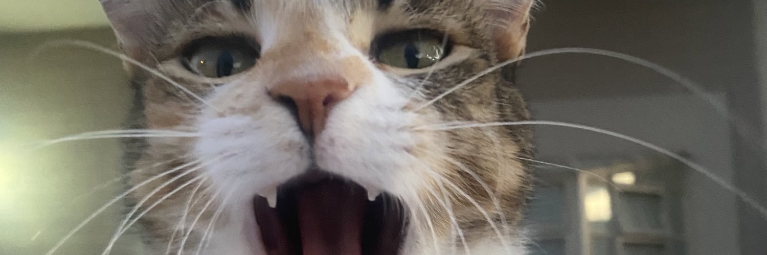 MeloMariafer's profile banner image