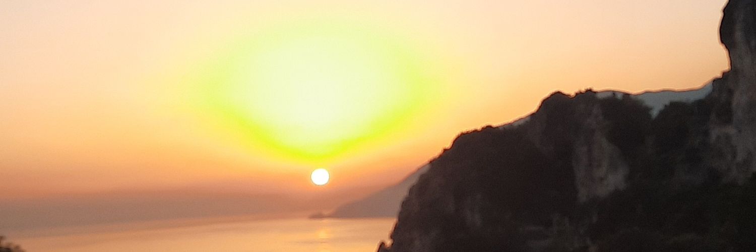 fayecarolina's profile banner image