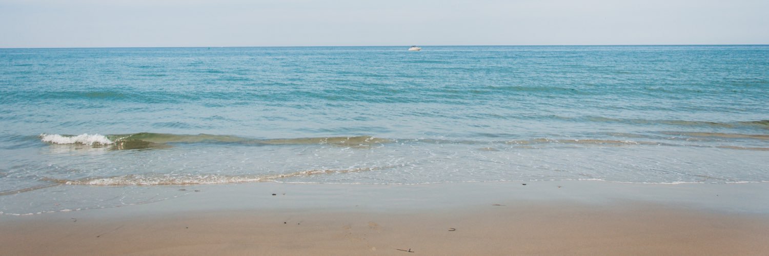 MrsCoyneAP's profile banner image