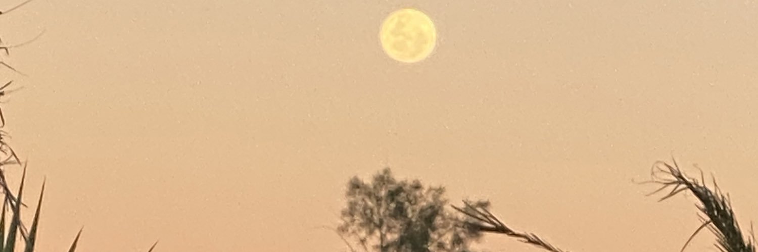 DanielleBeukes2's profile banner image