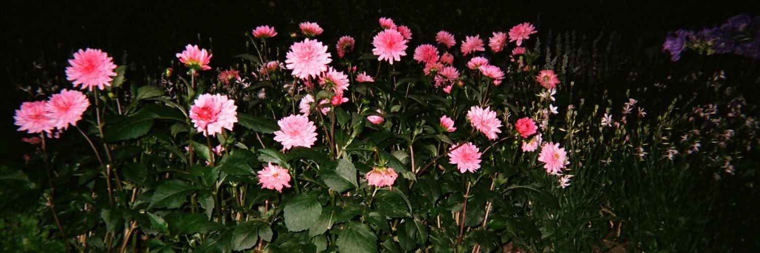 tacgregormaryn's profile banner image