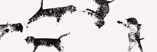 Stevenwsmc's profile banner image