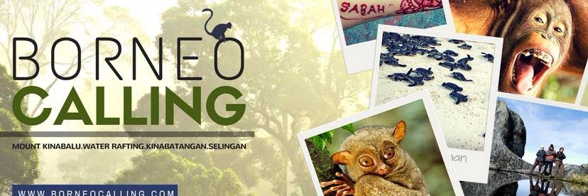 Borneo Calling banner