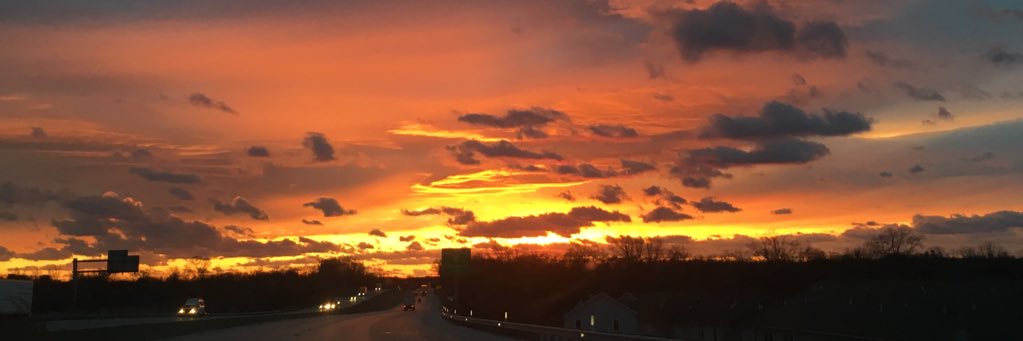 ChellyBean31's profile banner image