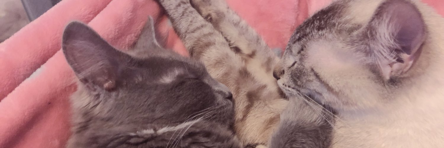 ashleypacman's profile banner image