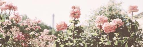 GK__Selin's profile banner image