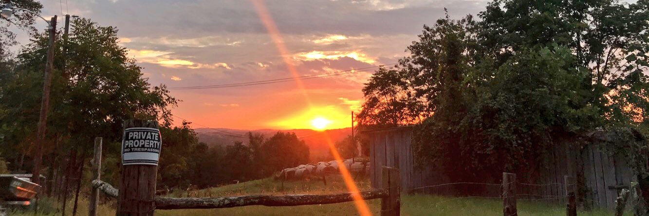 Shyanne Hronchak banner