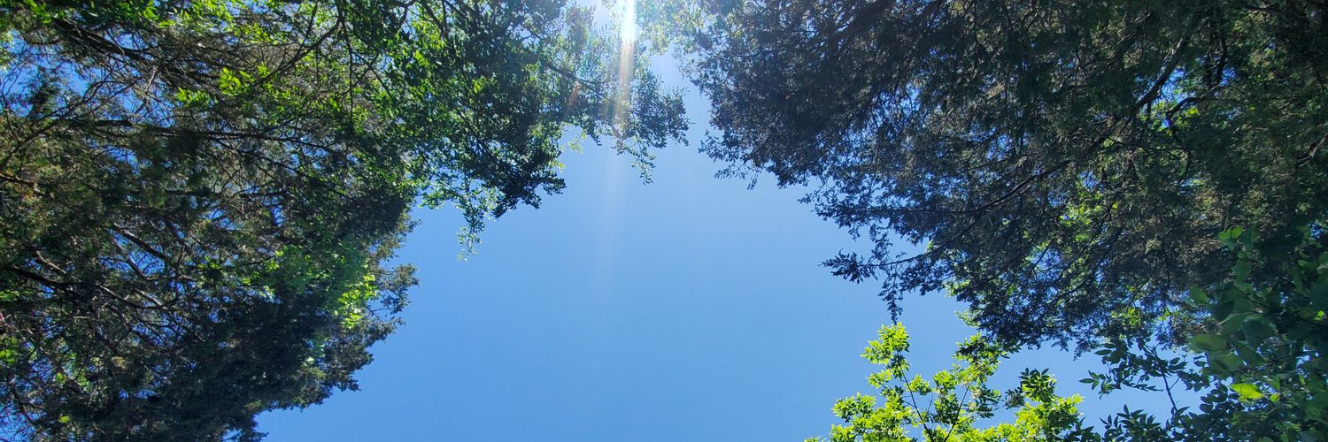 codyexisting's profile banner image